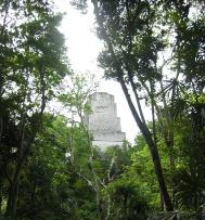 IMG1868a